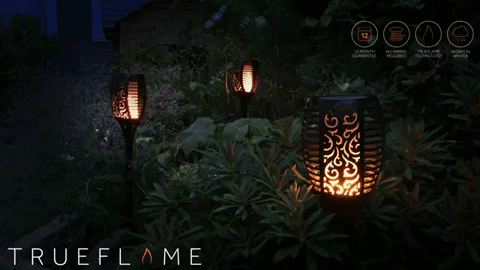 TrueFLame